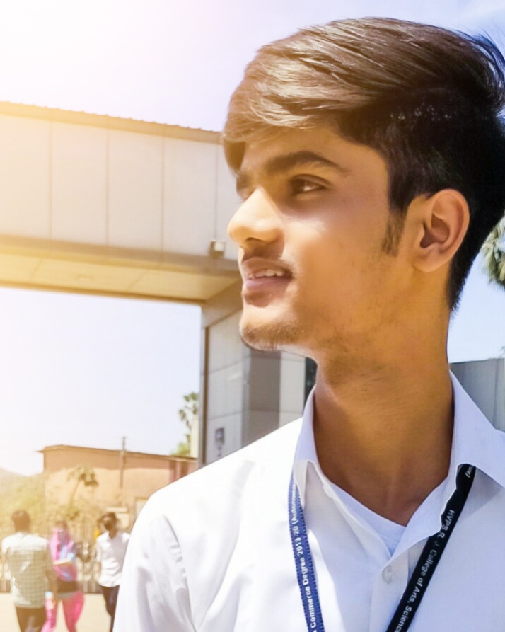 programmergaurav programmergaurav